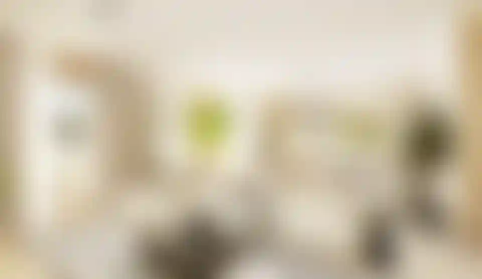 image for main block