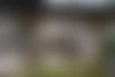 image for main block