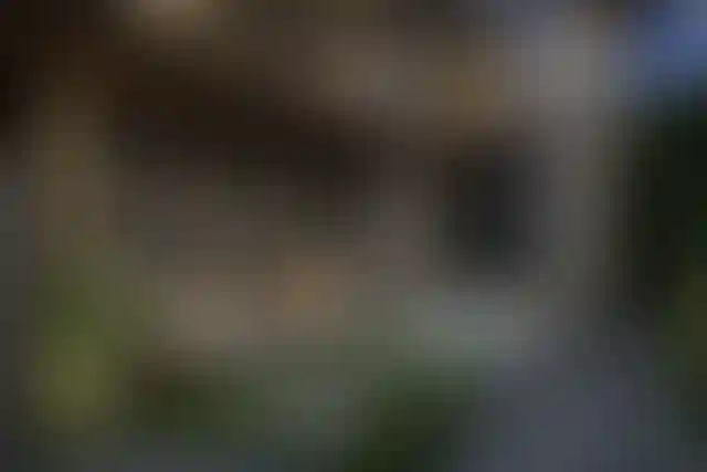 image for main block