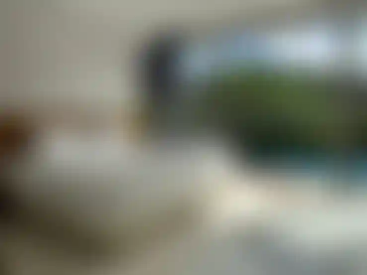 image for main block