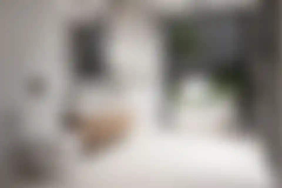 image for main block