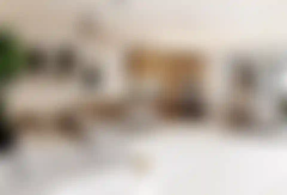 image for main block