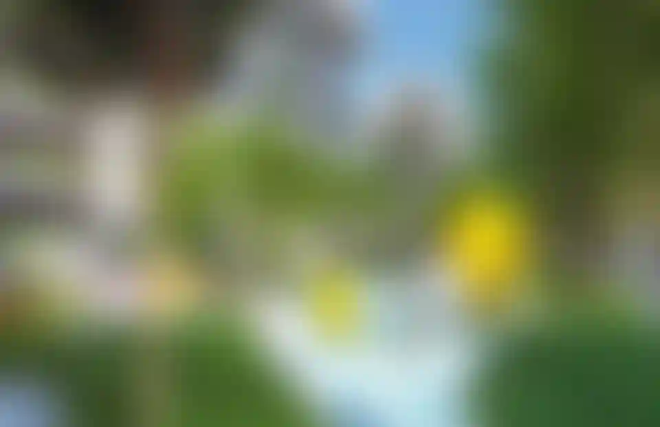 image for main block