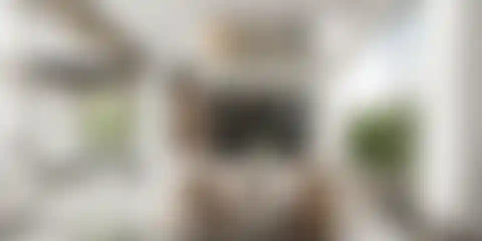 image for main block