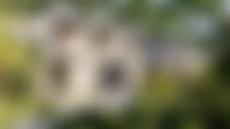 image for main block