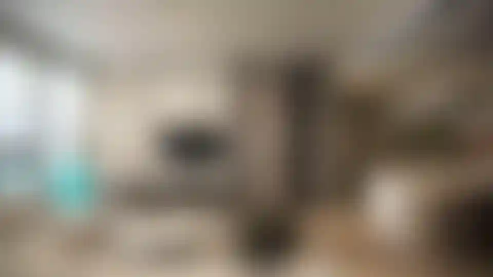 image for main block