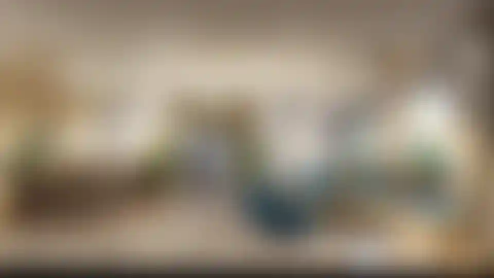 image for main block