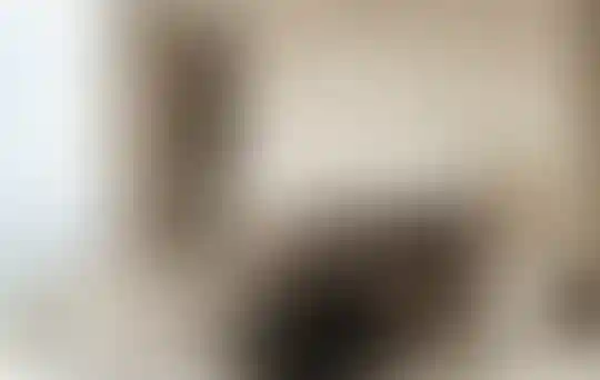 image for main block