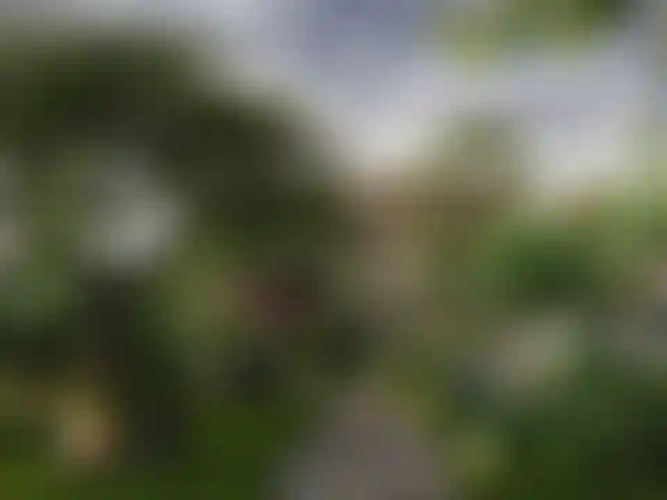 image for main block