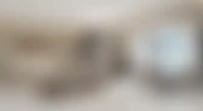 image for main block