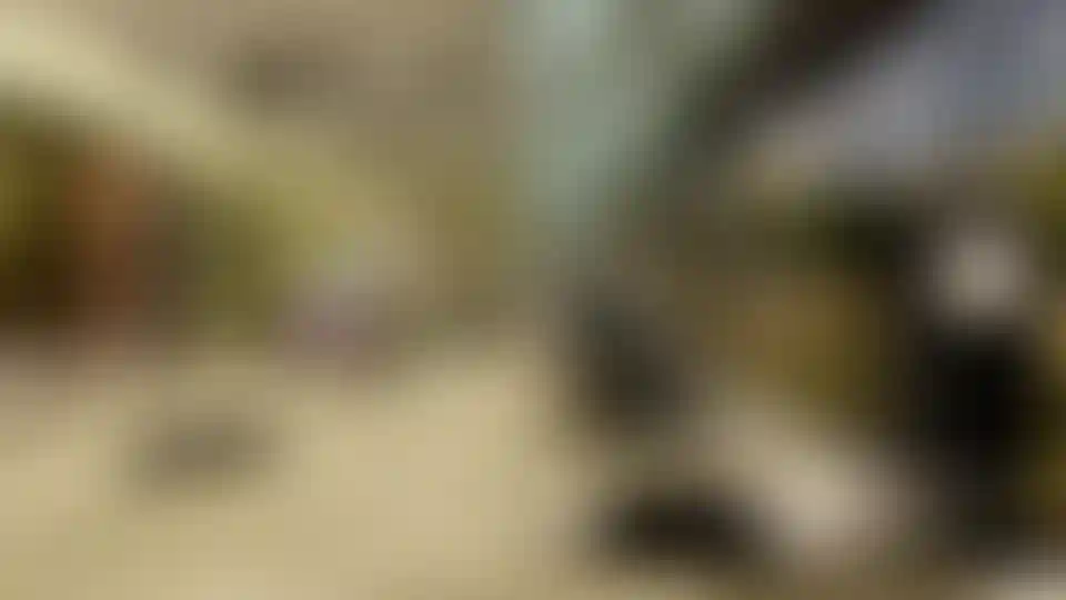 image for main block