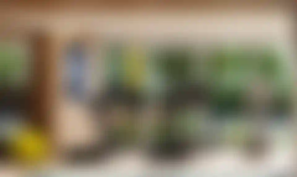 image for main block