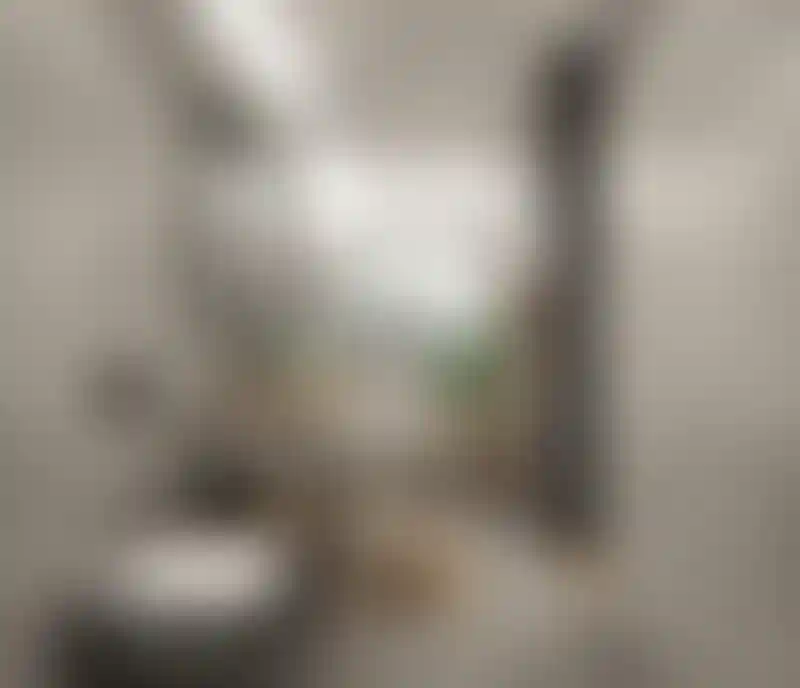 image for main block