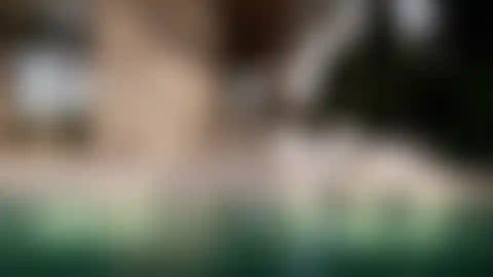 image for main block