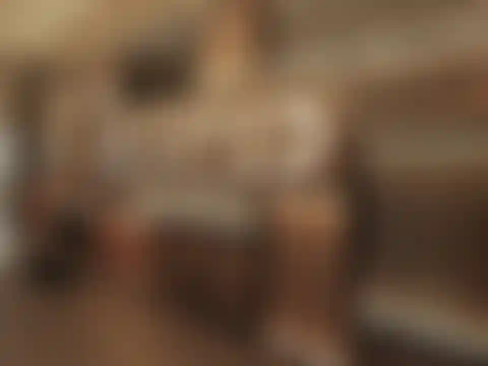 image for main block