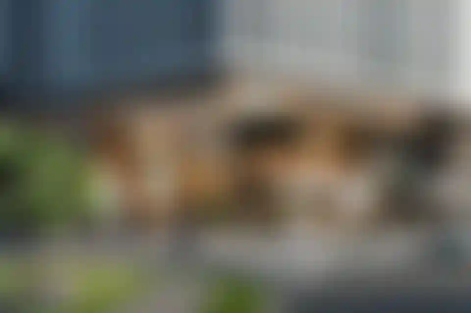 image for main block