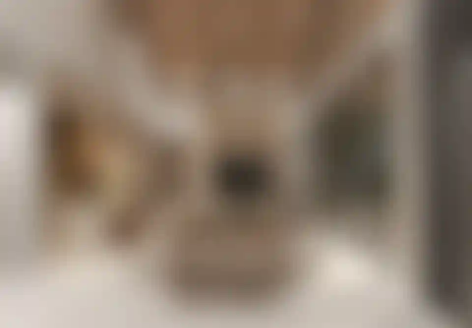 image for main block