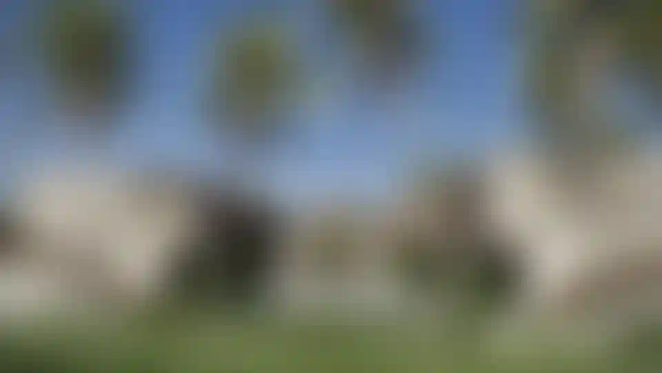 image for main block