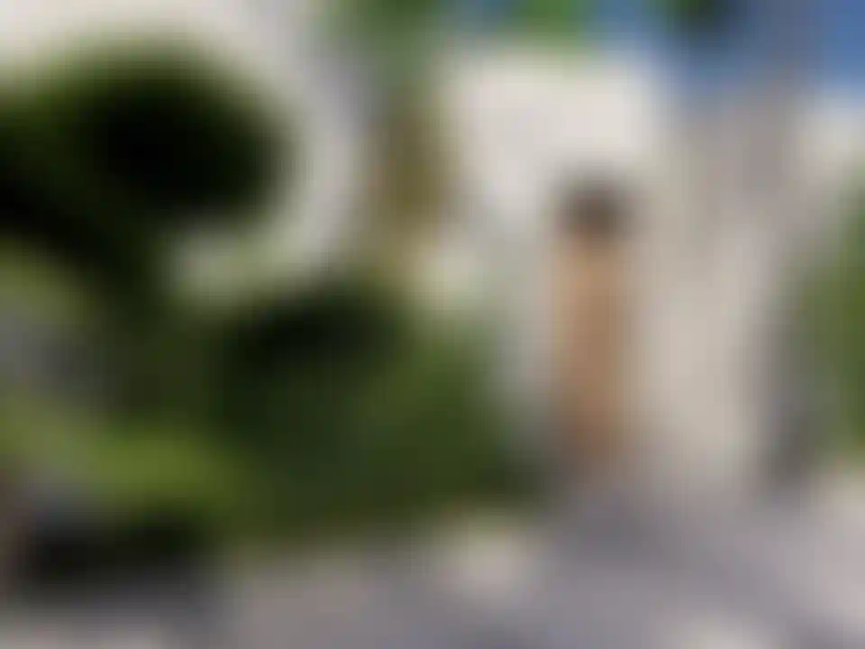 image for main block