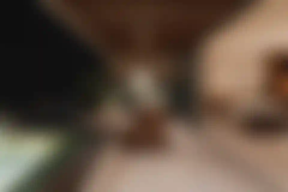 image for main block