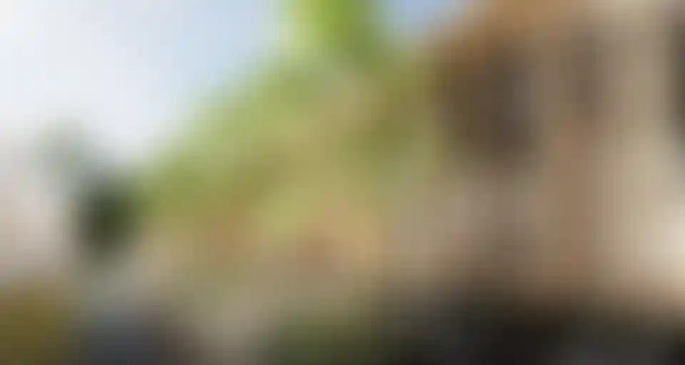 image for main block