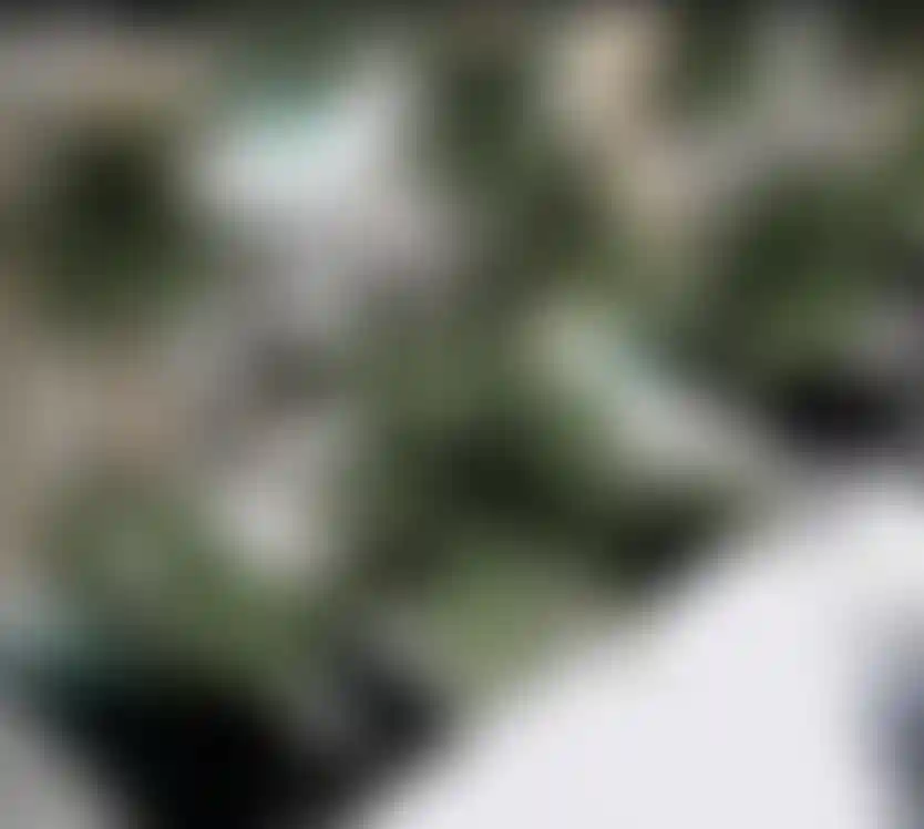 image for main block