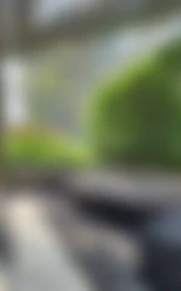 image for main block