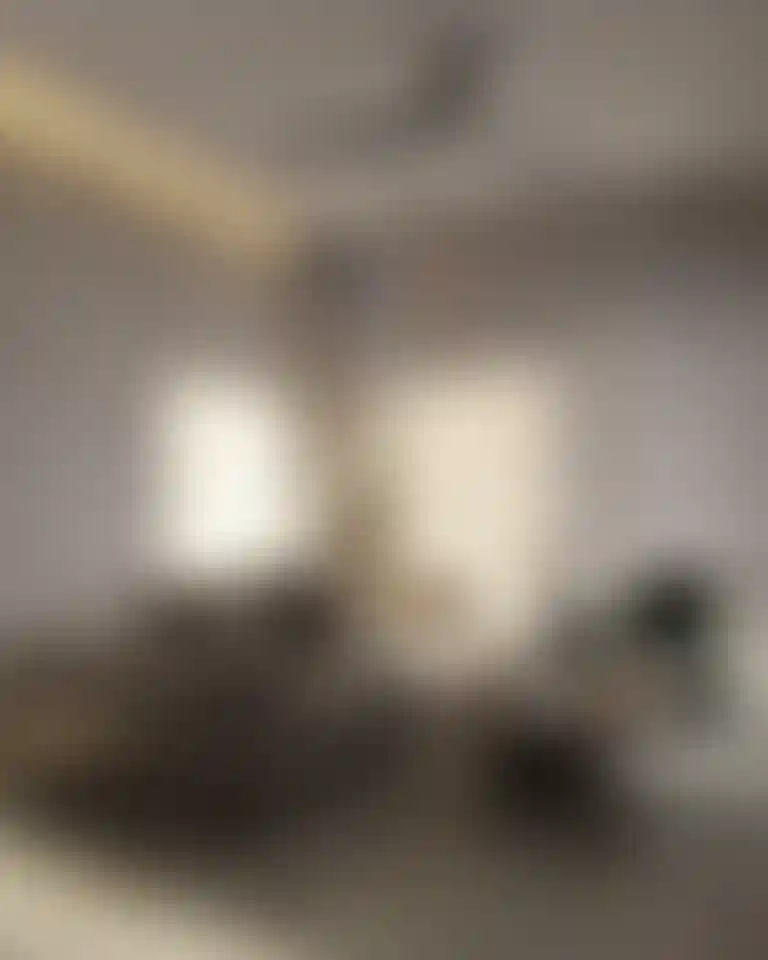 image for main block