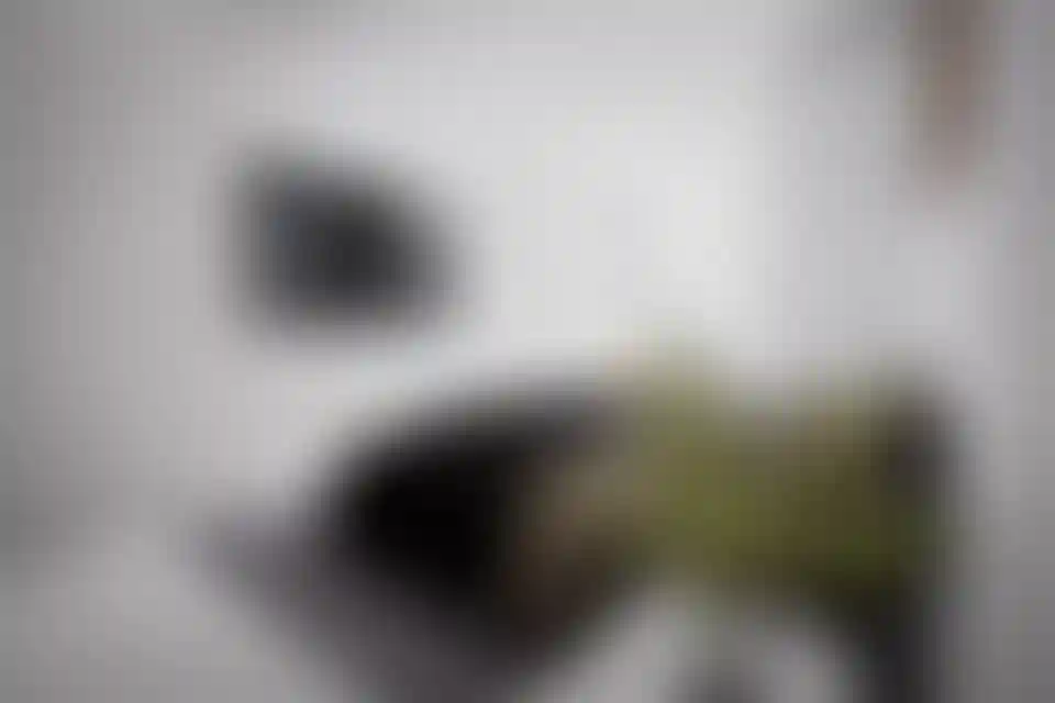 image for main block