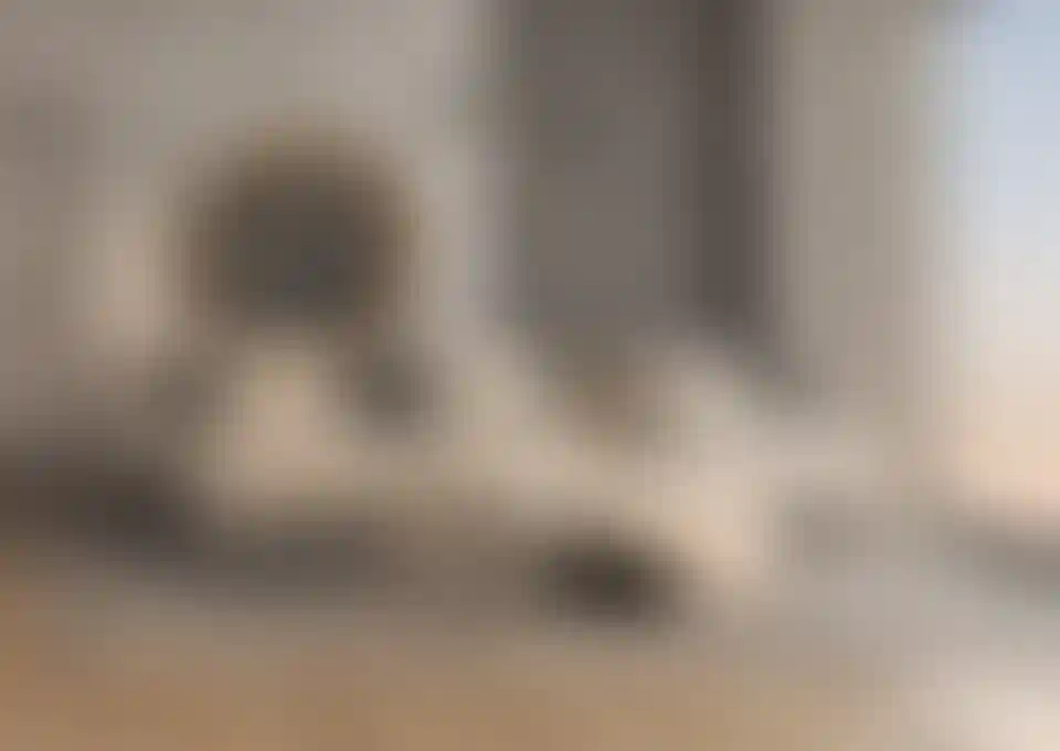 image for main block