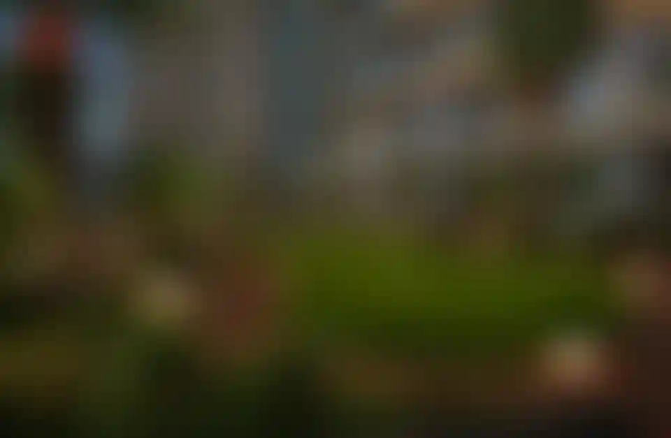 image for main block