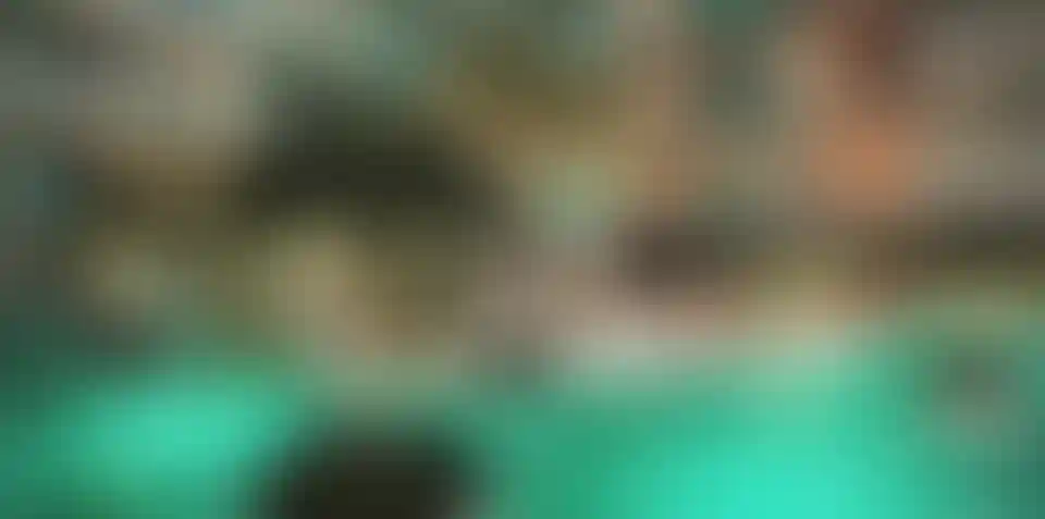 image for main block