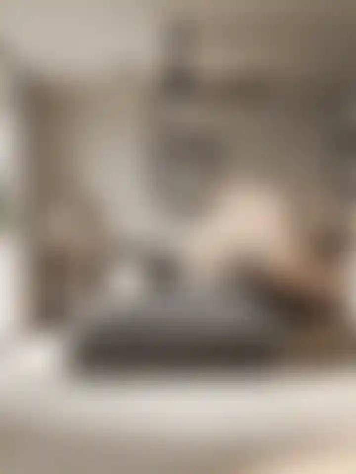 image for main block