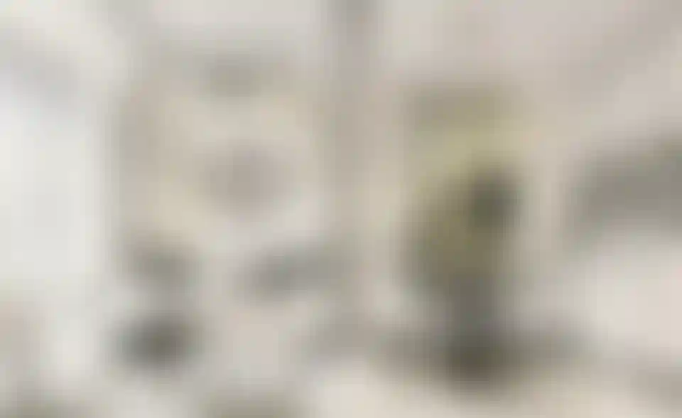 image for main block