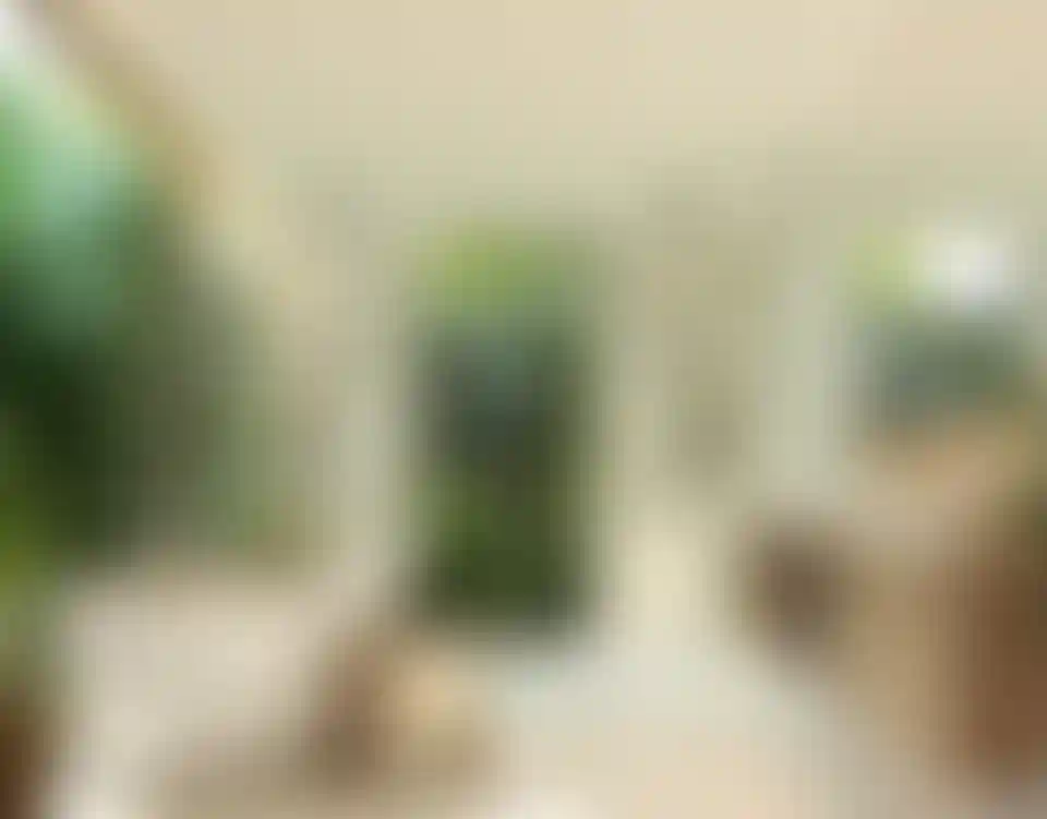 image for main block