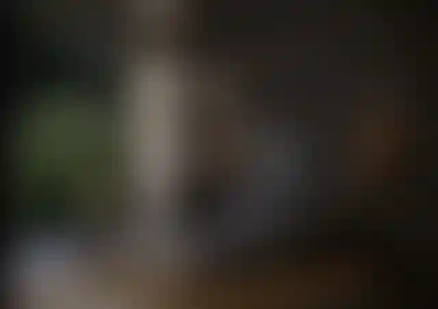 image for main block