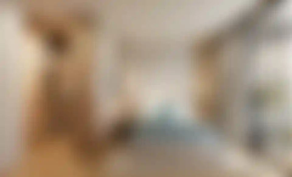 image for main block