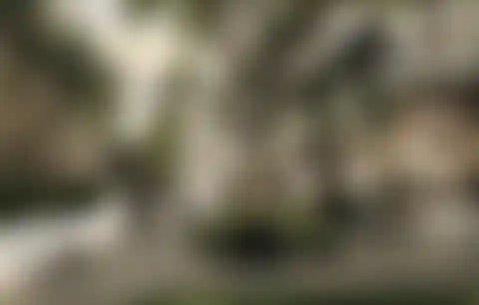 image for main block