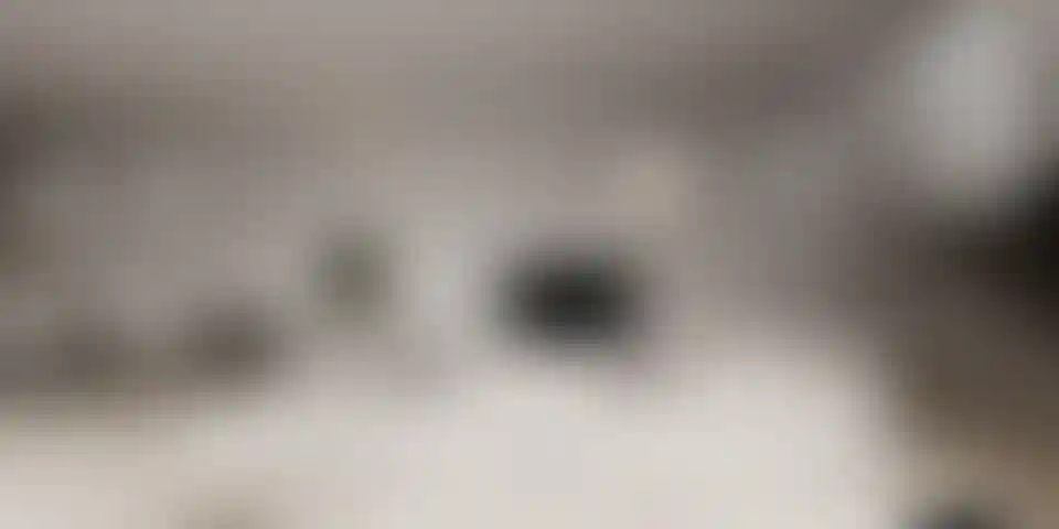 image for main block