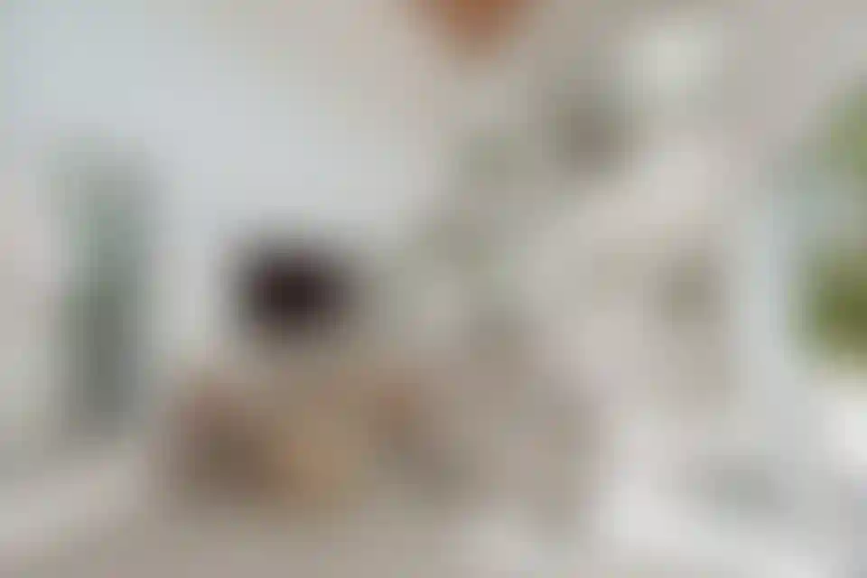 image for main block