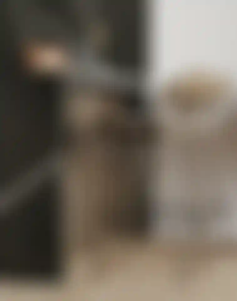 image for main block