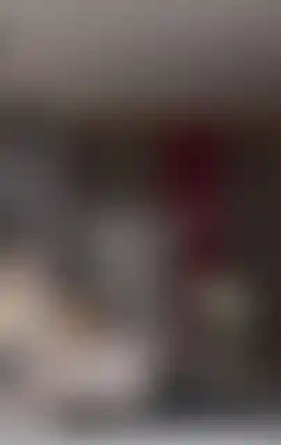 image for main block