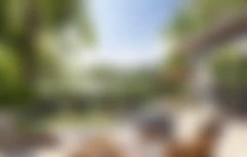 image for main block