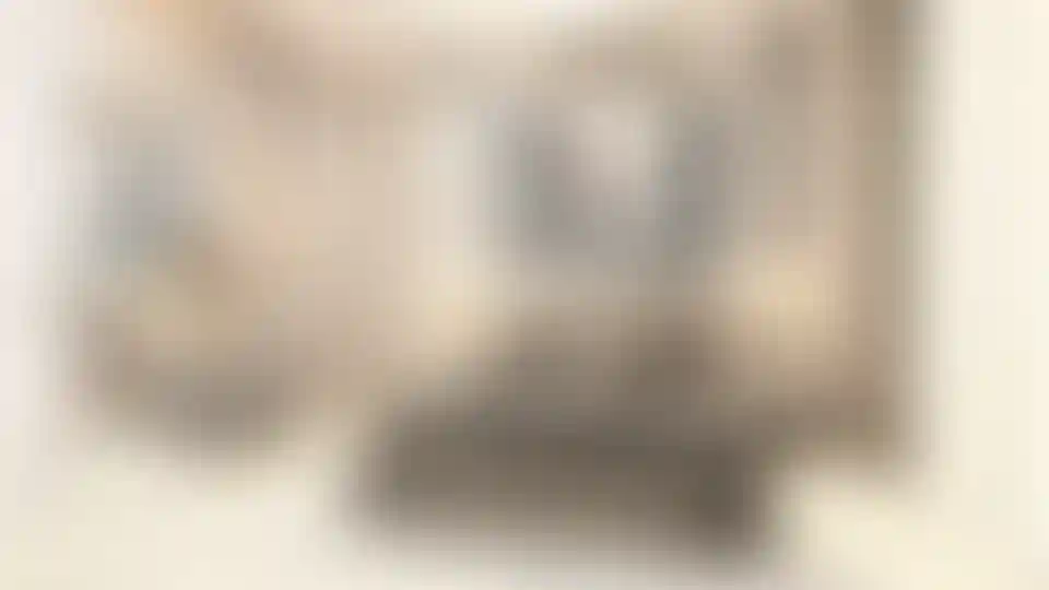 image for main block