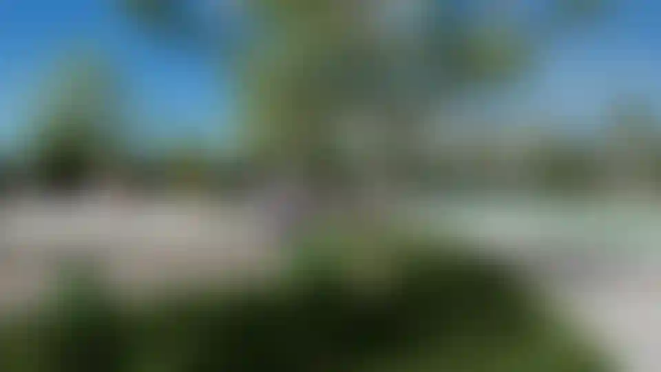 image for main block