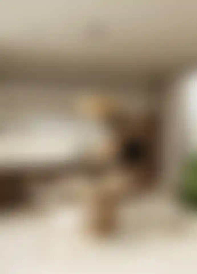 image for main block