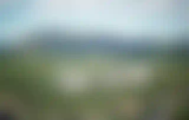 image for main block