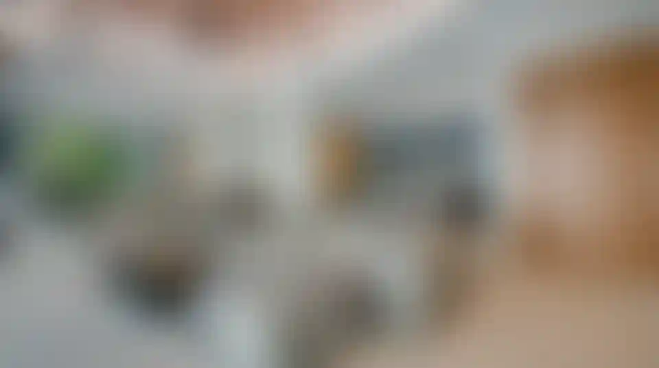 image for main block