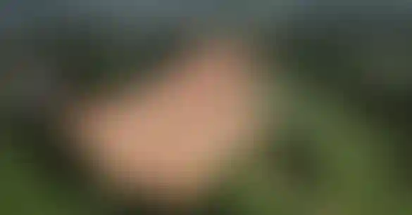 image for main block