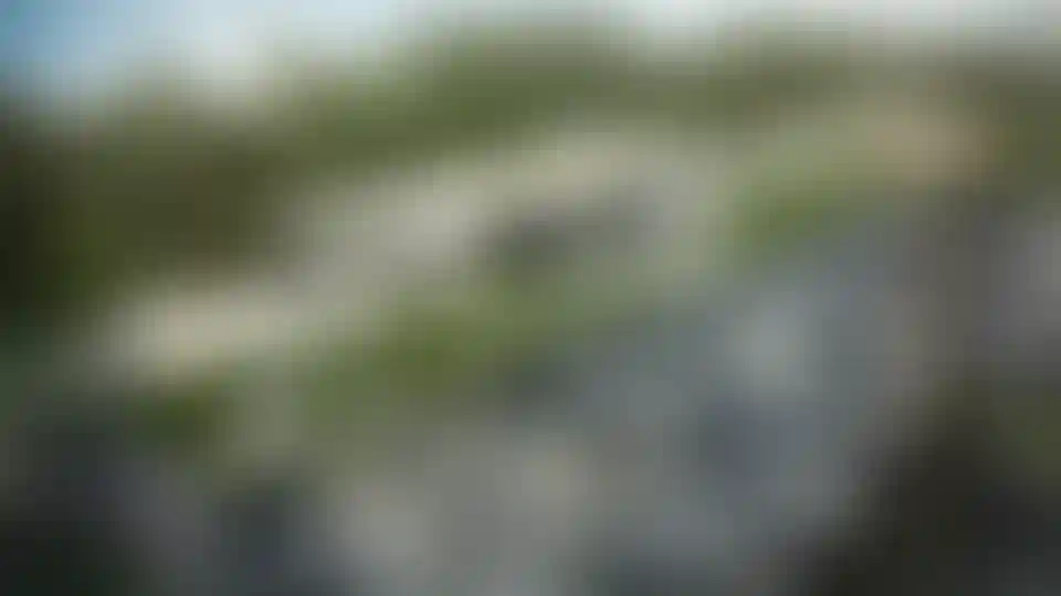 image for main block